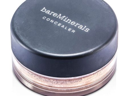 BareMinerals Bareminerals Bareminerals Eye Brightener Spf 20 - Well Rested 2g 0.07oz Online now