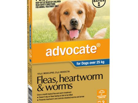 Advocate Dog Over 25 kg Extra Large 3s Cheap