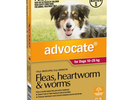 Advocate Dog 10-25 kg Large 3s Cheap