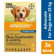 Advocate Dog Over 25 kg Extra Large 3s Cheap