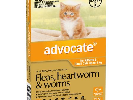 Advocate Cat 0-4 kg Small 3s Online now