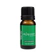 Aromamist Essentials Pure Essential Oil Tea Tree 10ml Online Sale