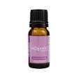 Aromamist Essentials Essential Oil Blend Inspire Me 10ml on Sale