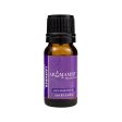 Aromamist Essentials Pure Essential Oil Lavender 10ml Online